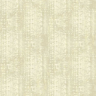 na51005