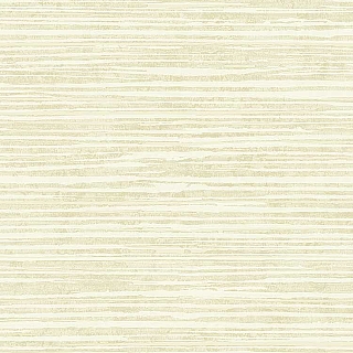 na51105