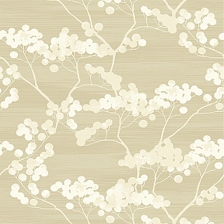 sy50405