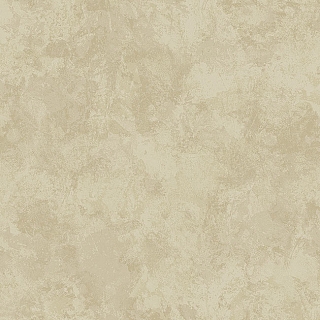 ms91906