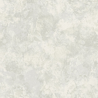 ms91900