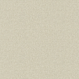 ms92007