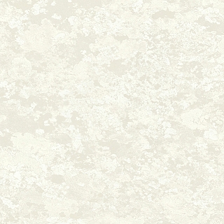 fj30310