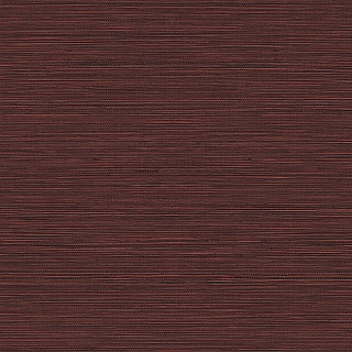 bv30401