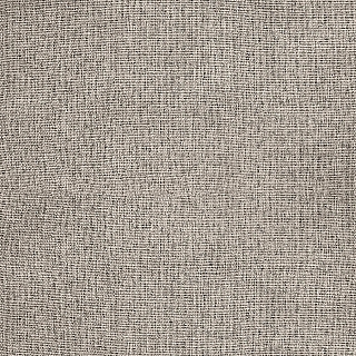 ava-4