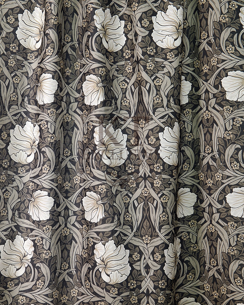 pimpernel grey black