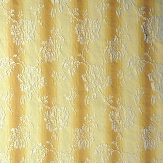 Jennifer Creme_Braun