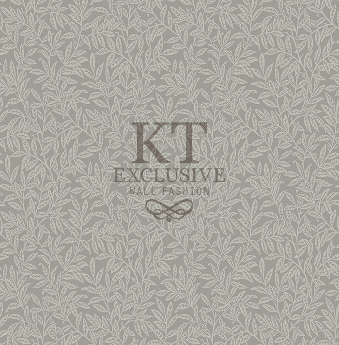 kt20808