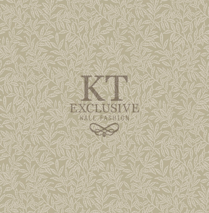 kt20804