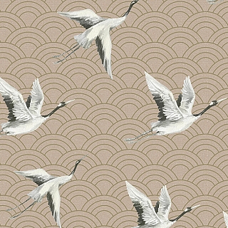 DYW0014