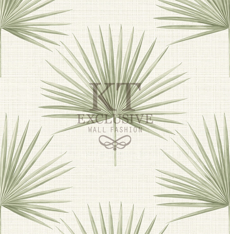 cl20904