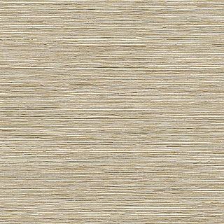 ls60405