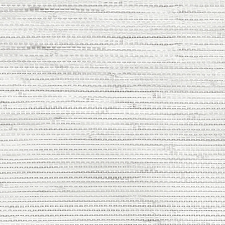 CL50029