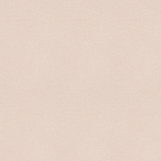 ca7303