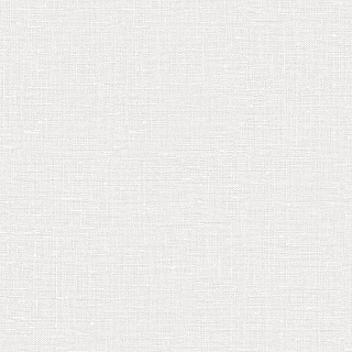 CL80519