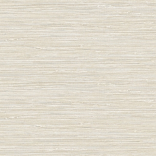 CL80833