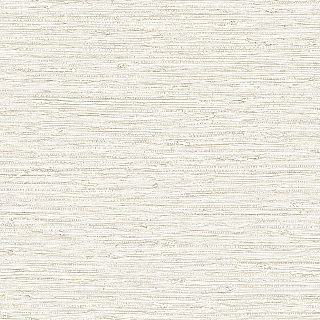 CL81707