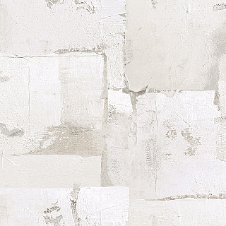 CL81105