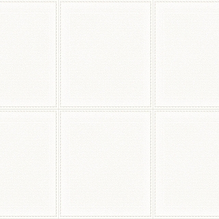 CL80213