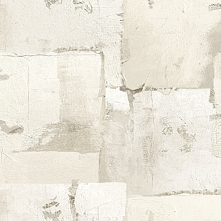 CL81107