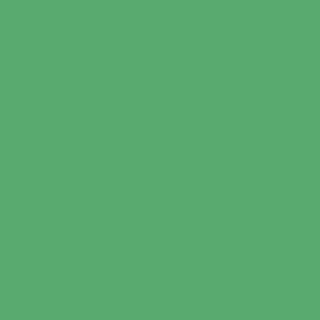 INK1507