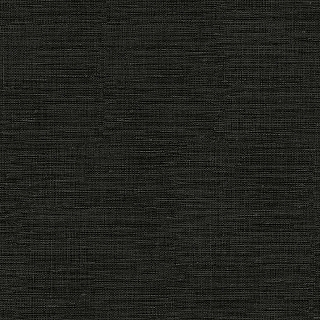 CL90117
