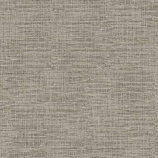 CL95129