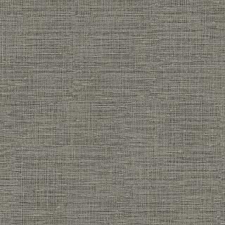 CL95050