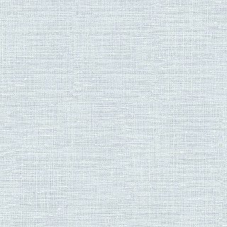 CL95113
