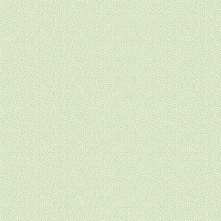 LB50504