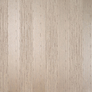 24553