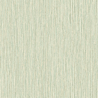 ak40504